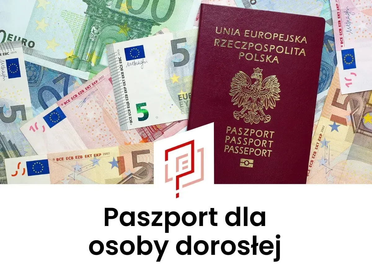 Paszport dla osoby dorosłej, obok banknotów euro. Dowiedz się, jak wyrobić paszport.